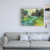 Trademark Fine Art Jeanette Vertentes 'Landscape in the Parks River' Canvas Art, 18x24 WAP11981-C1824GG